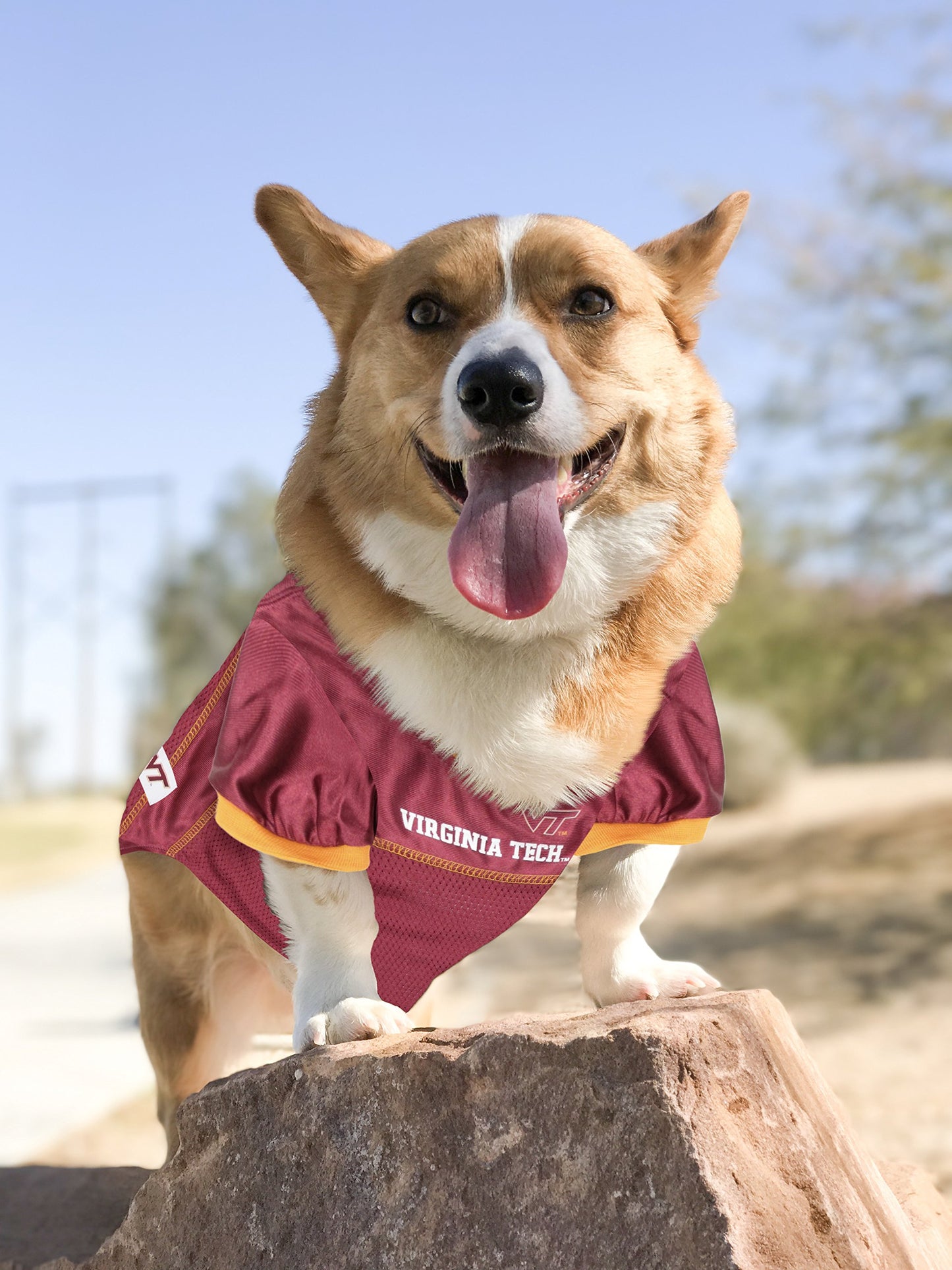 NCAA College Virginia Tech Hokies Mesh Jersey for Dogs & Cats, XX-Large. Licensed Big Dog Jersey with Your Favorite Football/Basketball College Team (Pack of 2)