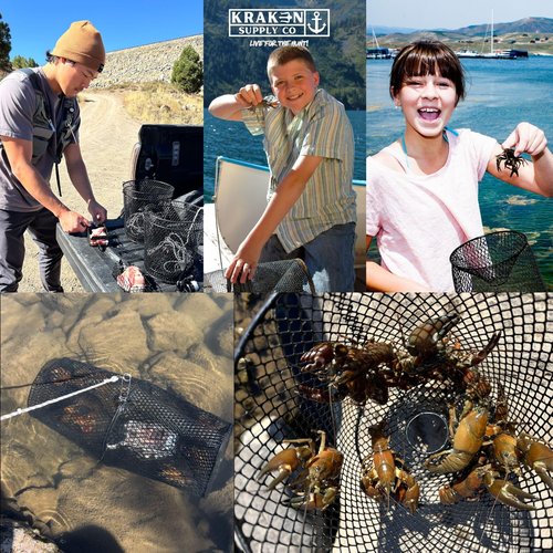 KRAKEN SUPPLY CO 2 Pack - Crawfish Trap Crawdads Crayfish Trap Torpedo Heavy Duty Bait Trap Steel Mesh Wire Black with Clip Two-Piece Durable (2 Pack)