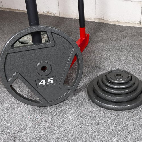 Signature Fitness Standard 1-Inch Cast Iron Plate Weight Plate for Strength Training and Weightlifting, Style #3, 25-Pound, Pack of 2