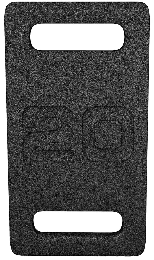 Fitvids Cast Iron Plate, Weighted Plate for Swings, Squat, Strength Training, Fitness Workout, and Home Exercises, 20-Pound