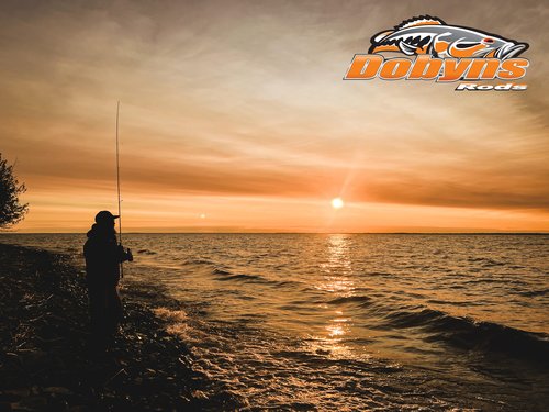 Dobyns Rods E.C. Special Spinning / 7’0” / 1 PC / 4-8 LB LINE Weight / 1/16-1/4 OZ Lure Weight/Light Fast Action/Cork-Split Handle with FOREGRIP