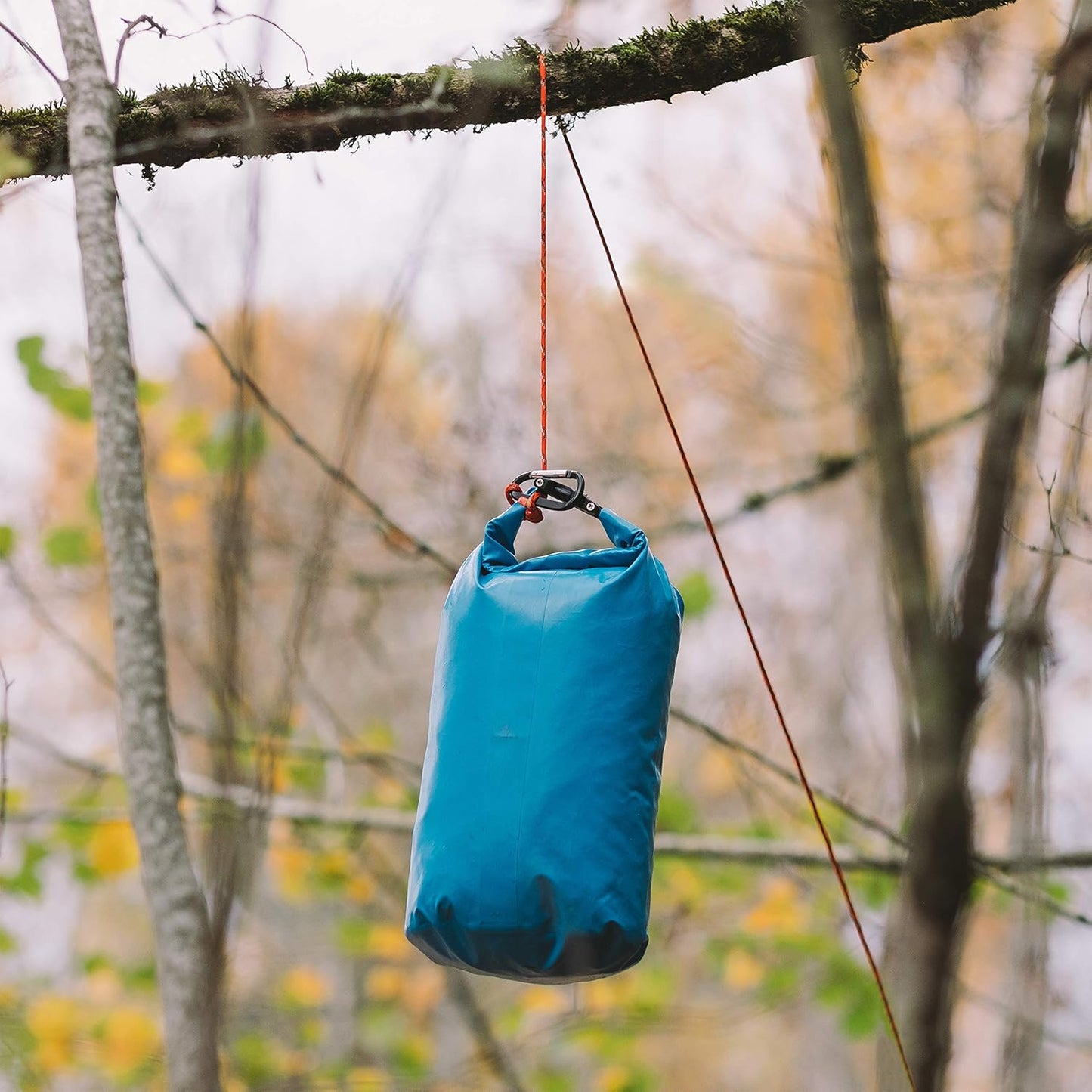 Gear AID 550 Paracord and Carabiner, 7 Strand Utility Cord for Camping and Survival