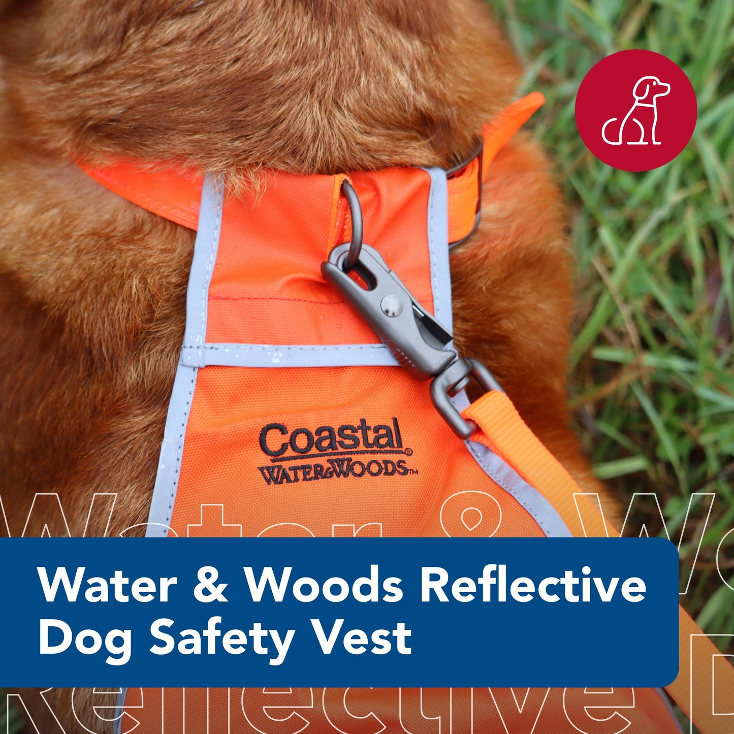 Coastal Pet - Water & Woods Reflective Dog Safety Vest by Coastal Pet - Improves Dog's Visibility - Ensures Dog's Comfort - Adjustable Fit - Large (Over 50 lbs.), 22" Length x 17 3/4"-23 3/4" Waist