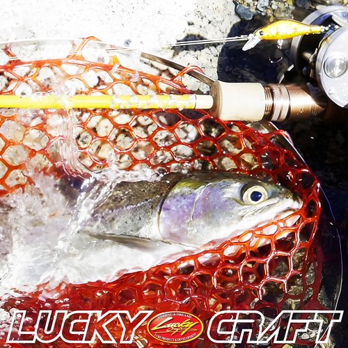 LUCKY CRAFT Fishing Lure Pointer 45S - Trout Lure, Jerkbait (276 Laser Rainbow Trout)