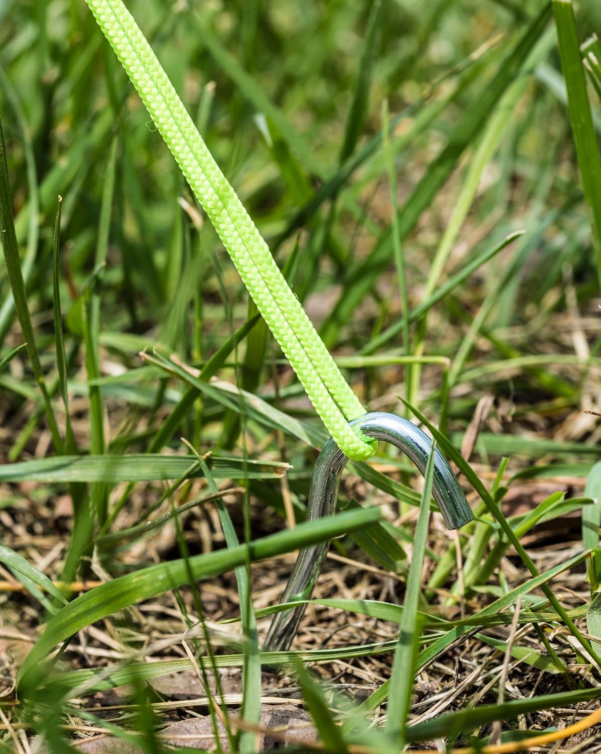 ALPS Mountaineering Steel Stakes, Set of 10