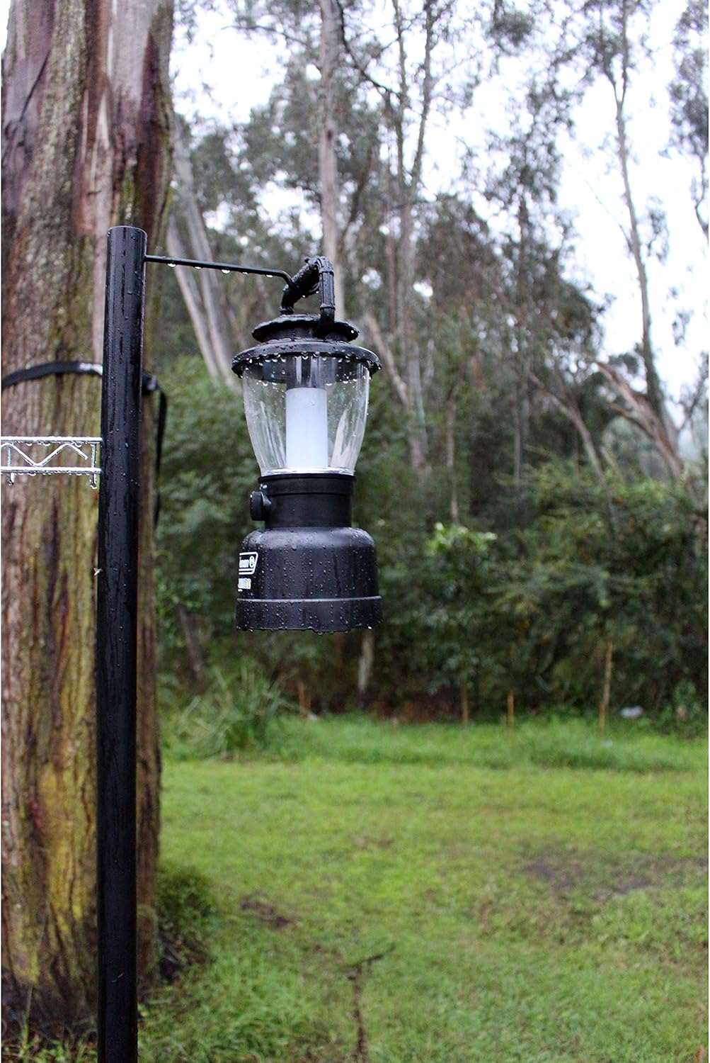 400 Lumens Coleman Rugged LED Lantern - Rechargeable, Water-Resistant & USB Charging