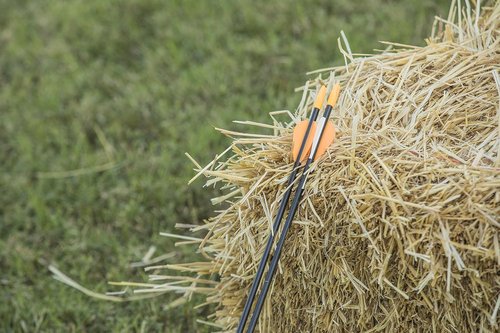 Bear Archery Youth Safety Glass Arrows, Durable & Splinter-Free Fiberglass Arrows, Nocks and Points Included, Pre-Fletched with Vanes, America's No. 1 Youth Archery Brand
