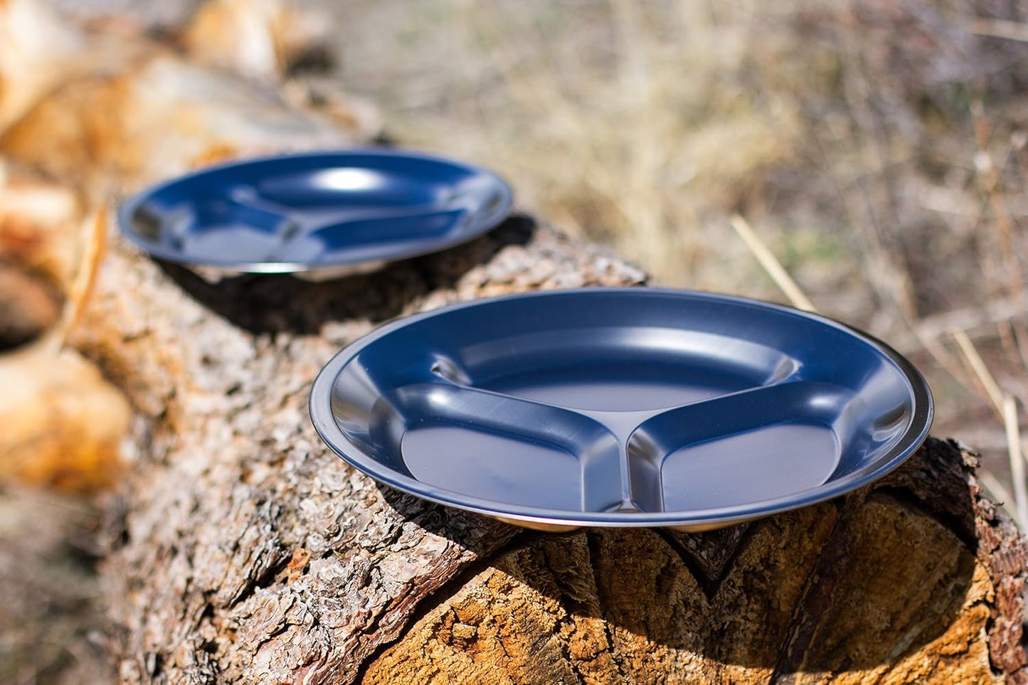 Portable Stainless Steel Plate Set - 4 Round BPA-Free Sectioned Plates with Travel Bag for Camping, Hiking, BBQ & Beach