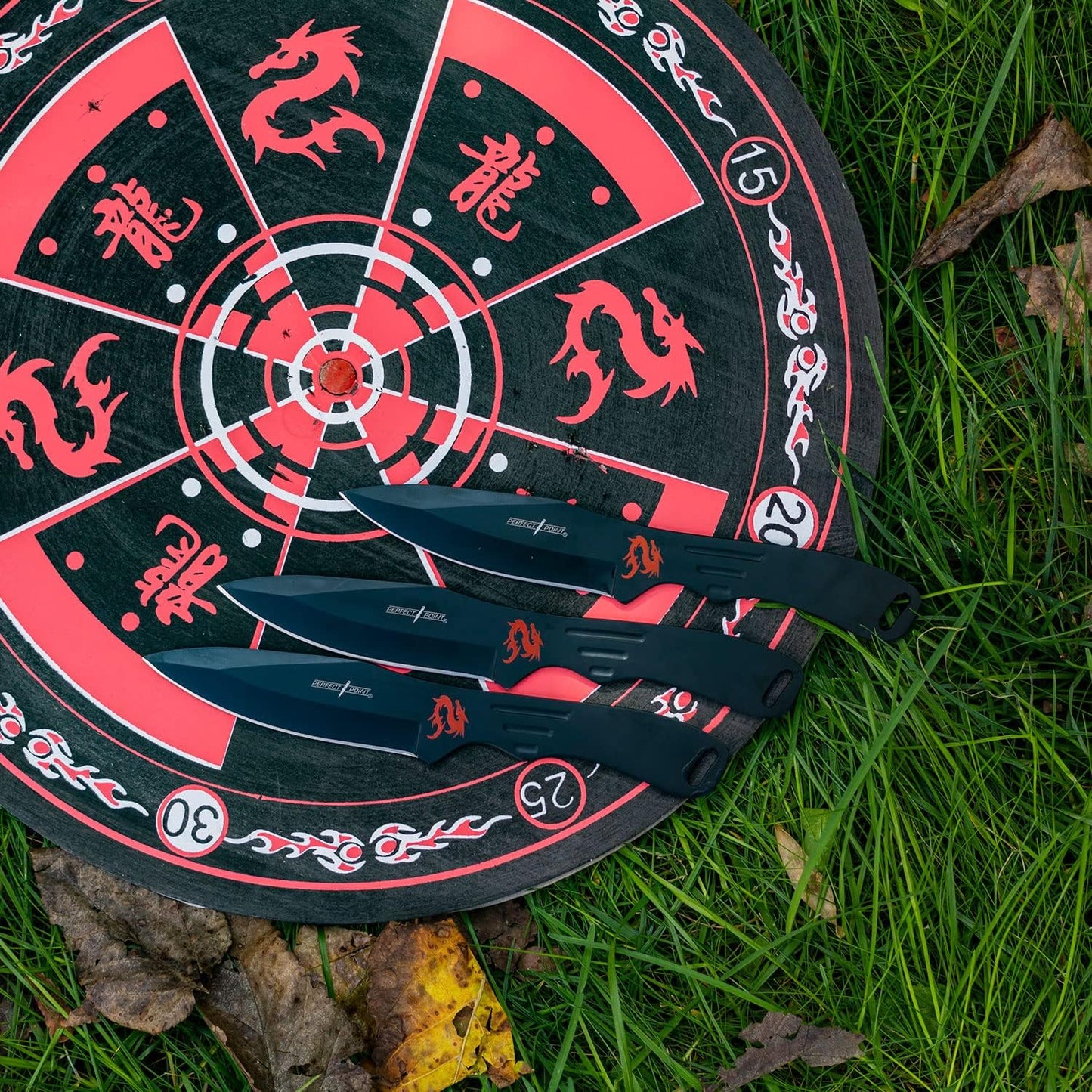 Perfect Point Thrower with Target Board