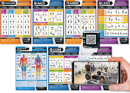 Muscle Groups & Exercise Poster for Home Gym Decor – Laminated Workout Chart with Free Video Training – Fitness Room Decor for Men and Women by Posterfit