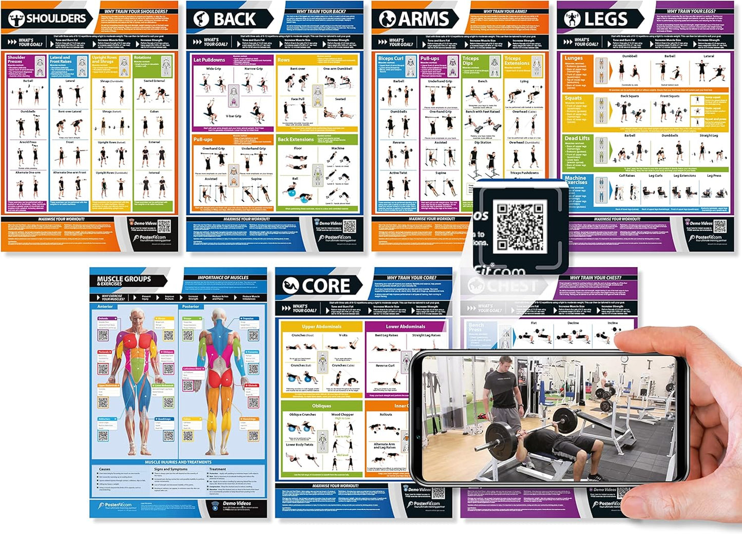 Muscle Groups & Exercise Poster for Home Gym Decor – Laminated Workout Chart with Free Video Training – Fitness Room Decor for Men and Women by Posterfit