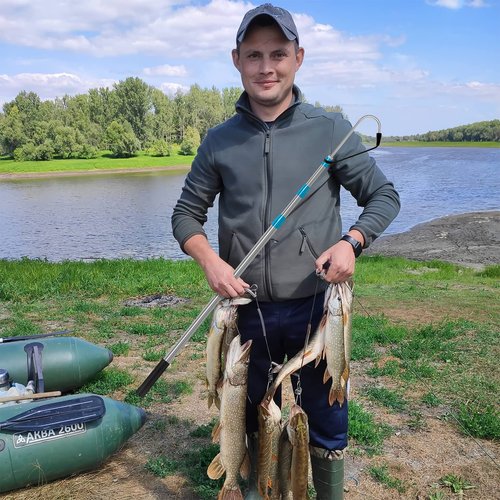 SANLIKE Telescopic Fishing Gaff, 2.87-6.22FT Stainless Steel Retractable Telescopic Pole with Sea Fishing Hook Tackle for Saltwater Offshore Ice Tool