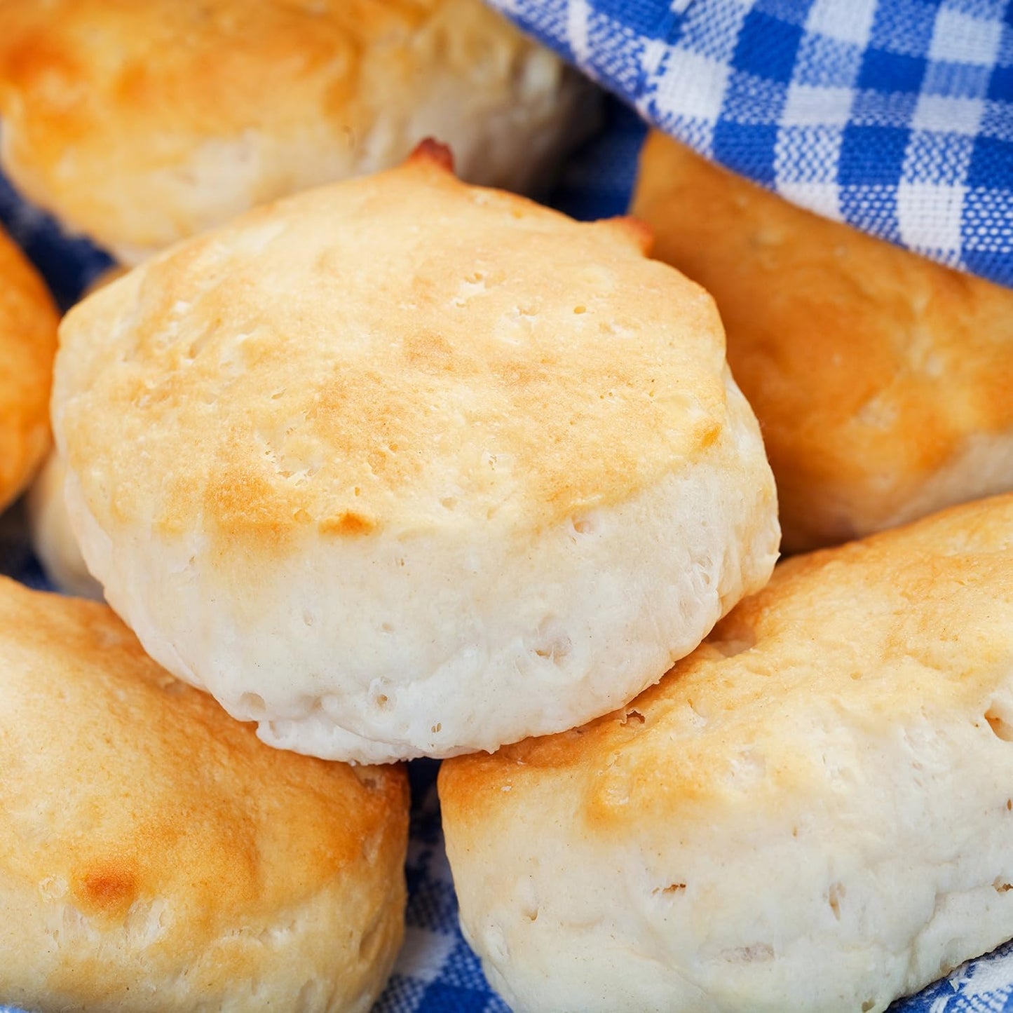 Augason Farms Bakery Food Storage Kit No. 10 Can 3-Pack