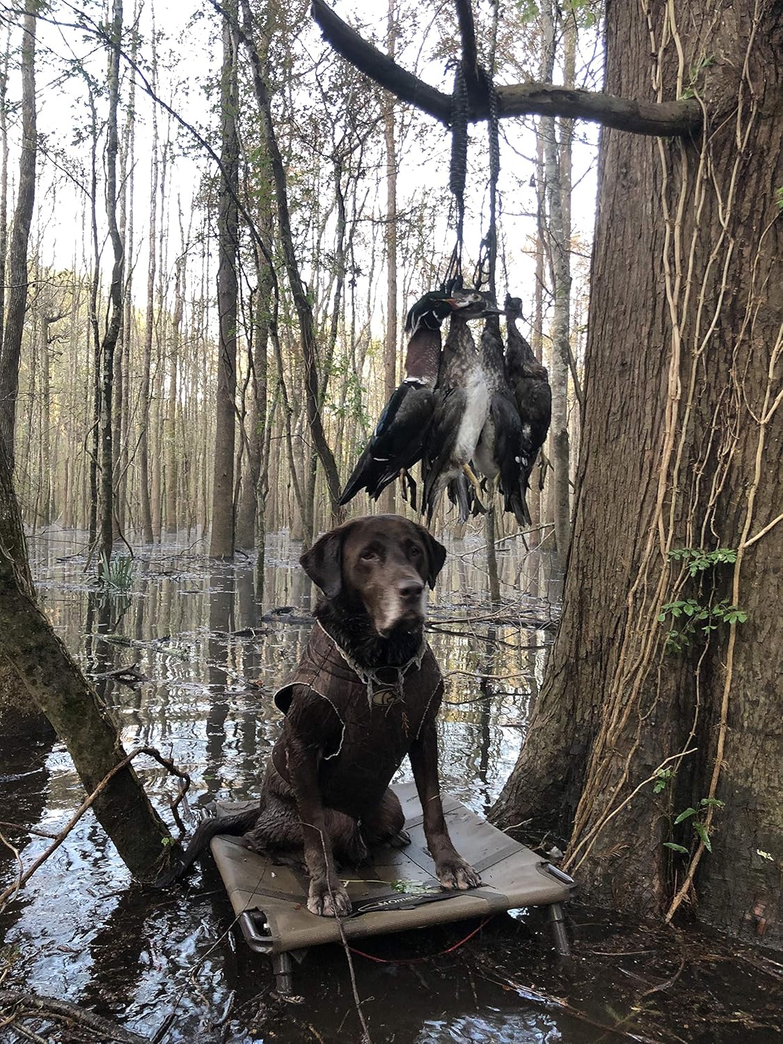 Game Carrier, 12 Drops, Slip Ring - Bird Tote for Waterfowl, Duck, Geese, and Other Wild Game, Paracord