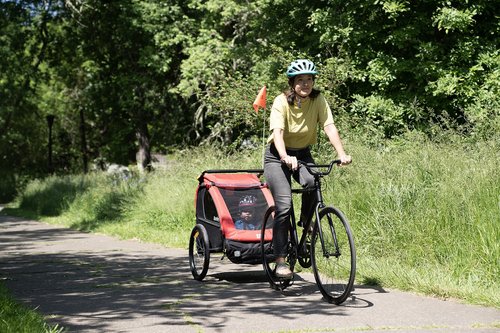 Burley Honey Bee, 2 Seat Kids Bike Trailer & Stroller