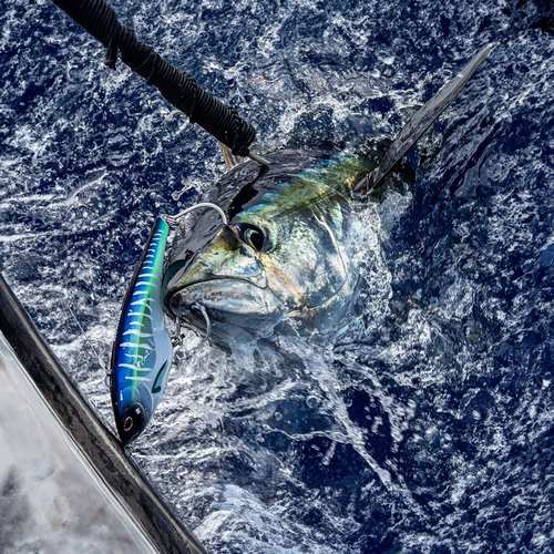 Madmacs 200mm High Speed Sinking 8" Trolling Lure for Bluefin Tuna Yellowfin Wahoo and Mahi Mahi, Hot Pink