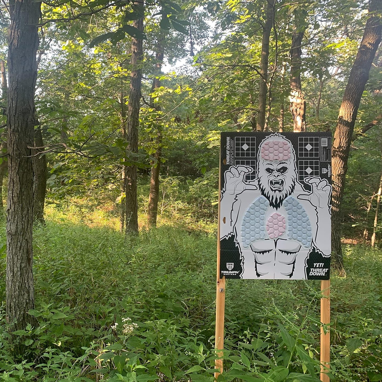 Triumph Systems Threat Down Monster Targets - Reactive Target - Shooting Target - Reactive Splatter Target - Targets for Shooting