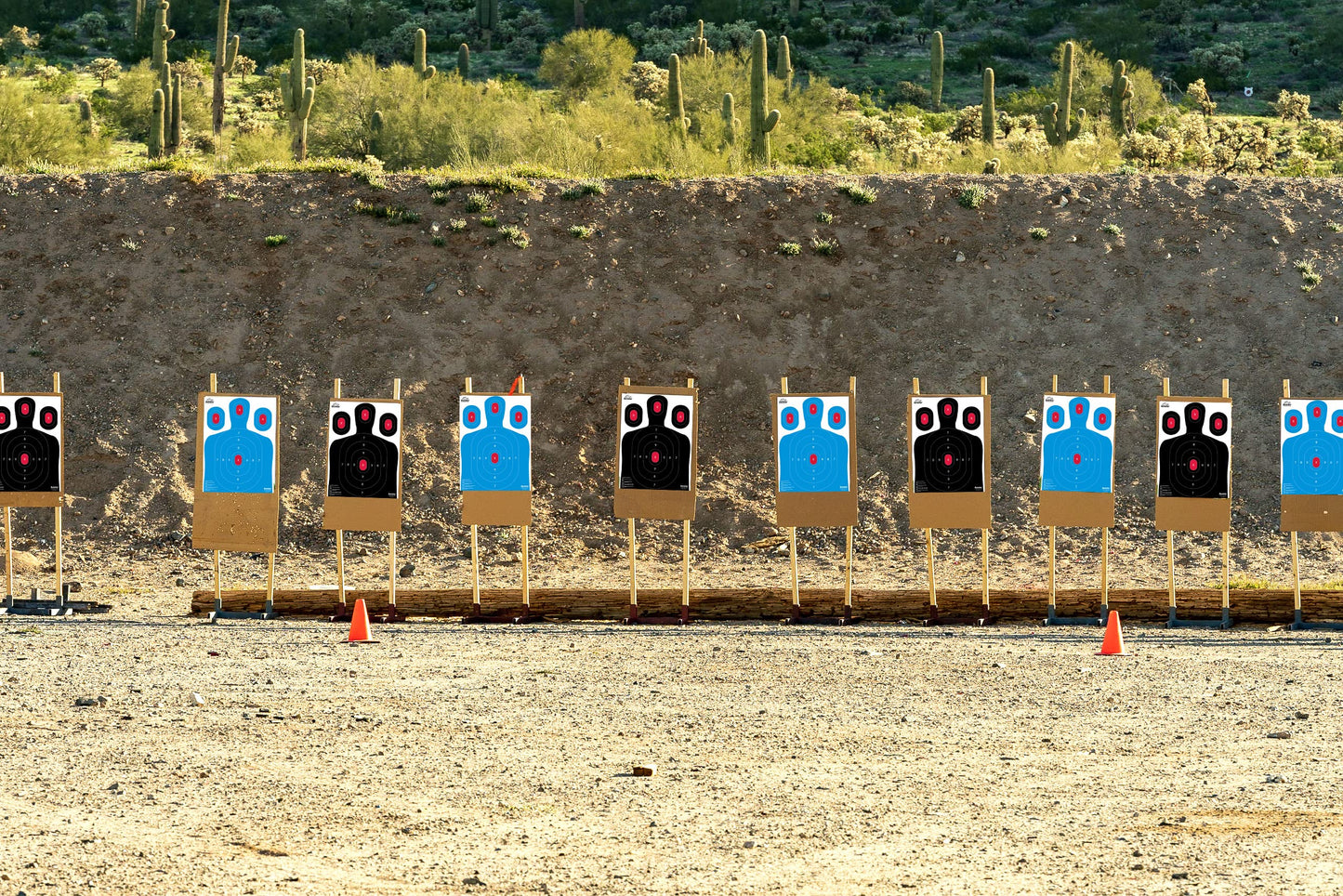 Ascentor Silhouette Shooting Target - Large Size 18 x 24 - Multiple Aiming Zones - Blue - Pack of 50