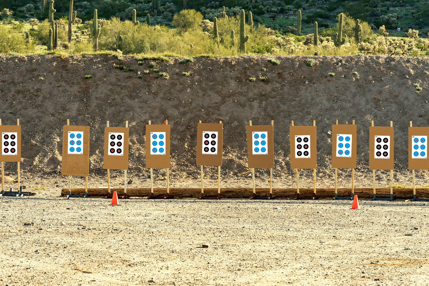 Ascentor Advanced Accuracy Shooting Target for Rifles and Pistols - 6 Target Zones - Size 12 x 18 - Pack of 20 - Black