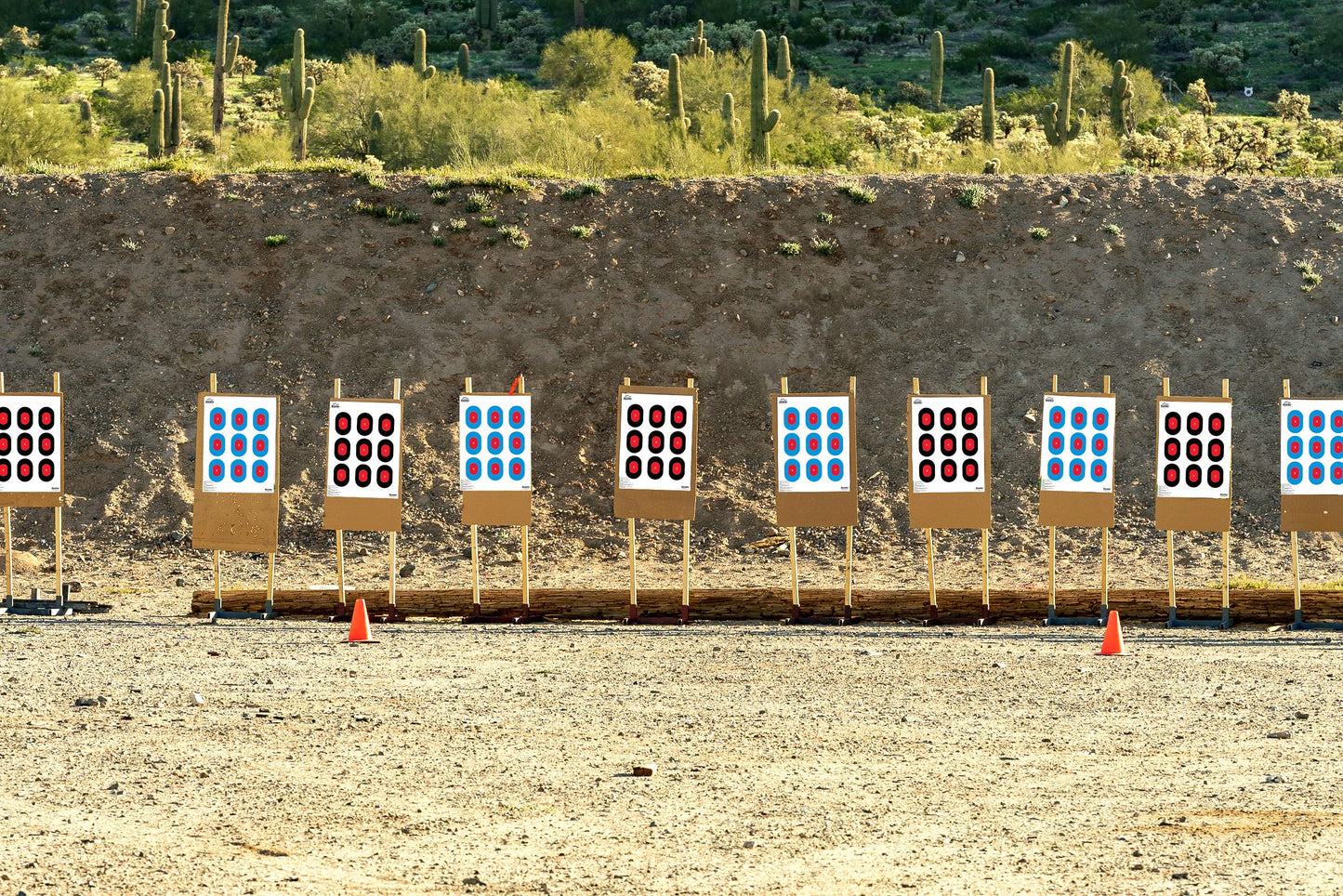 Ascentor Expert Shooting Target - 9 Zone - Large Size 18 x 24 - Pack of 25 - Blue