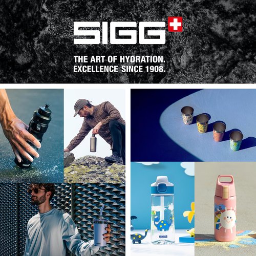 SIGG - Insulated Camping Mug - Double - Wall Travel Mug with Lid - Dishwasher Safe - BPA-free - Stackable - Night Black - 10 Oz