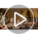 10.5 Inch Large Dinner Plates Set of 6 - White Ceramic, Microwave & Dishwasher Safe