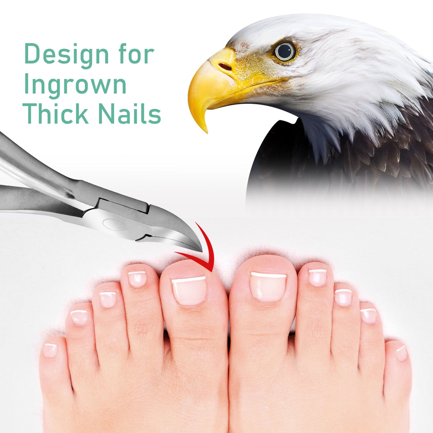Professional Toenail Clippers | Ergonomic Nipper for Thick Ingrown Nails