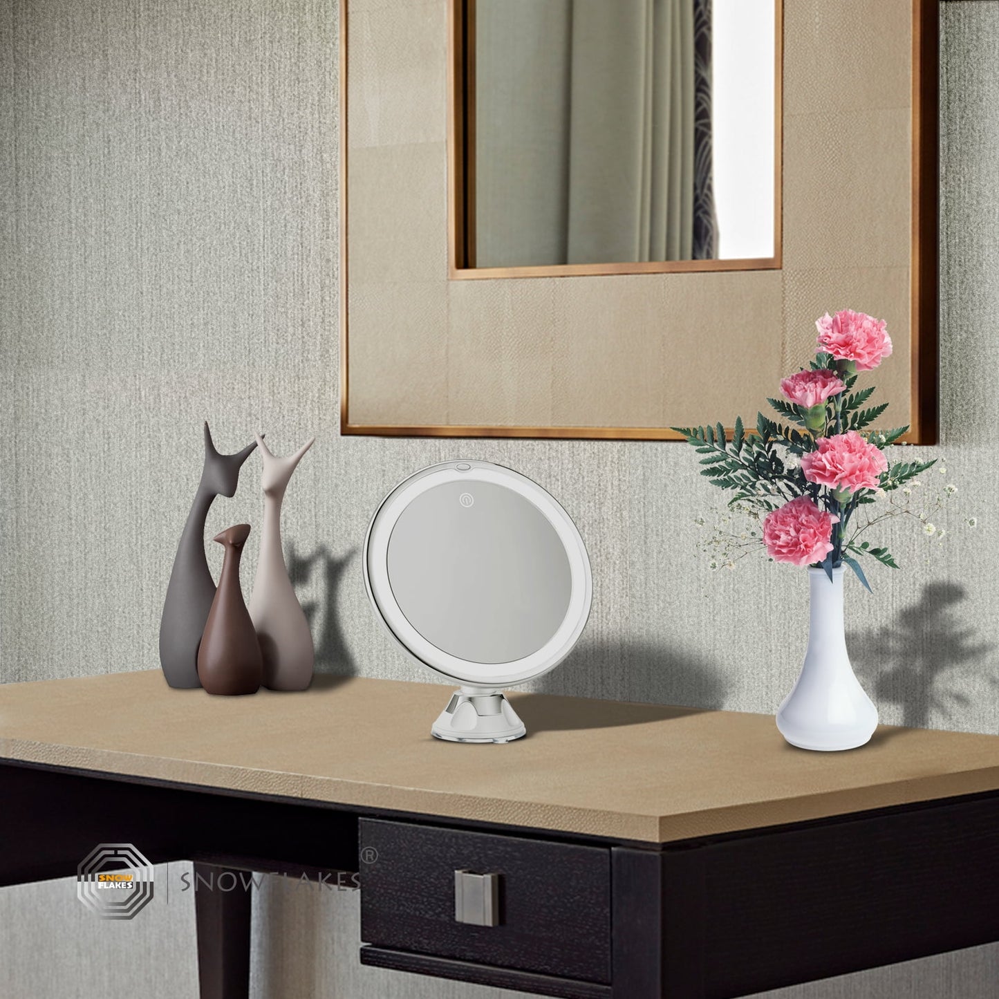 10X Magnifying Lighted Mirror | 3 Modes | Suction Cups | 360° Swivel